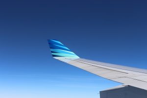 Airplane wing